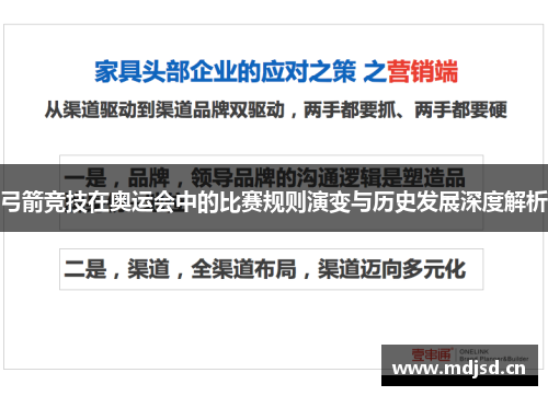 弓箭竞技在奥运会中的比赛规则演变与历史发展深度解析