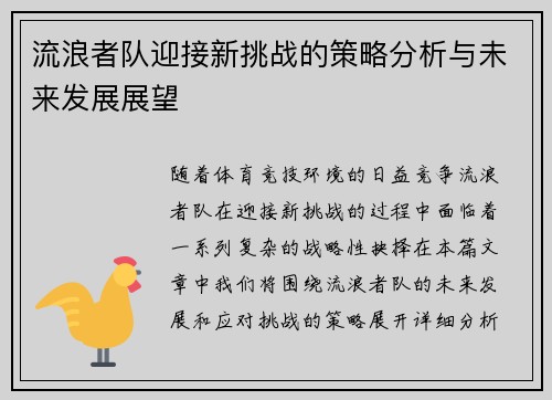 流浪者队迎接新挑战的策略分析与未来发展展望